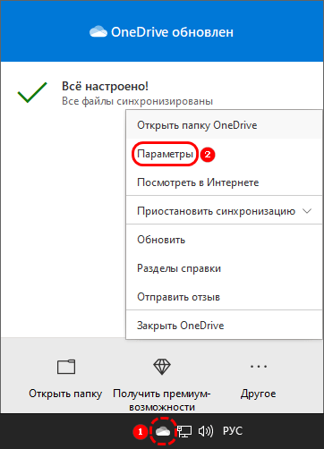 Открытие хранилища в трее и выбр пункта «Параметры».